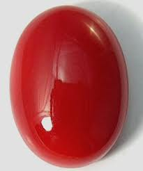 Oval Moonga (Red Coral)