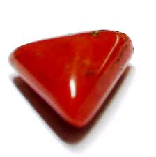 triangular red coral